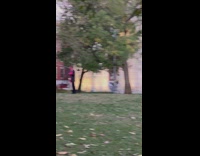 Woman do photoshoot at park in daytime NYC 