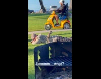 Two squirrels on man at the park