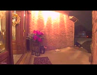 Woman falls down porch on Christmas night
