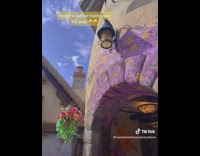 Woman shows a Rapunzel tower restroom design 