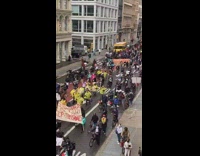 Justice for Francisco Villalva March in New York 