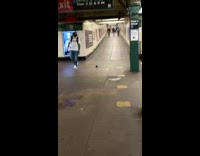 man runs at rat spinning in circles