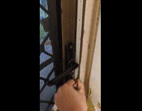 Currawong bird whistles at door for visit