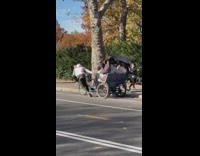 Guy walks pulls rickshaw down street bicycle