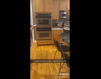 Spam call phone under pan hit loud 