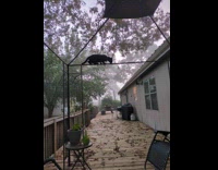 Cat almost fall while crossing tent steel