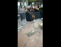 Group girls take selfies at their table