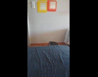 Cat plays fetch from bed to floor