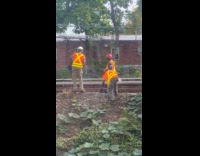 MTA workers harvesting pumkin