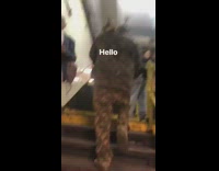 man in camouflage with giant lizard on his shoulder