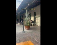 Woman carried and escorted out of restaurant