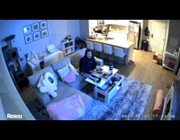 Cat stuck in bag runs around