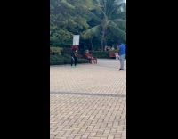 Collab IITW - Woman Zumba outfit tiktok dance at park