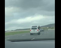 Girl body outside white van window highway