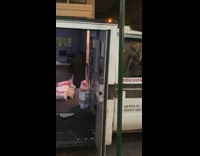 Black white van money in plastic bags