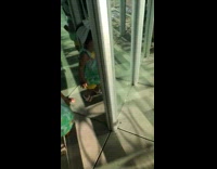 Collab BitchMP - Little girl mirror maze