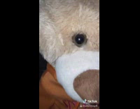 Guy dresses up build a bear 