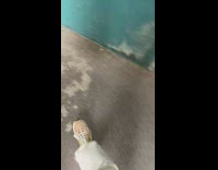 Woman walks pet ferret 