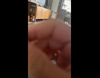 Cat fetches hair tie on the floor