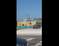 Girl yellow pole blue sunflower mural wall 