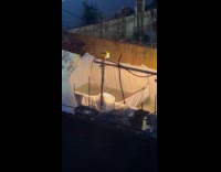 Submitter shows fishery at back of restaurant