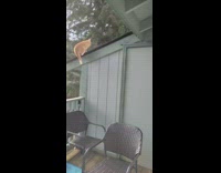Orange cat climbed on roof owner concerned