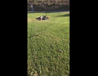 Little boy attempts dirt bike wheelie fail