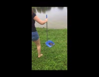 Turtle on dust pan back to pond