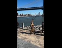 Man Black Myth Wukong cosplay near river