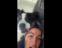 Dogs saliva drips down on hoomans forehead 