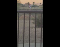 Man purple hair talk aggressively selfie fence