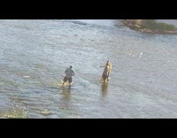 Three men take pictures in shallow river
