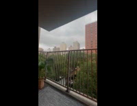 Filmer on balcony startled by loud thunder