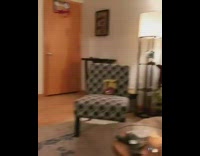 Brown dog watches baseball game on the TV and sits on couch 