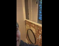 Cat comfortable watching TV wont move 