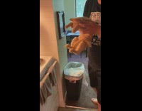Cat cleans up toilet paper after mess