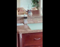 Grey cat knocks over tube granite countertop 