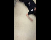 Woman slips and falls stepping on long gown 