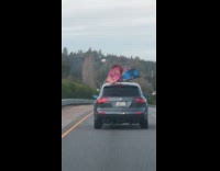 Collab Kook Of The Day - blue and pink boogie boards on roof of car