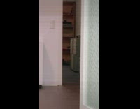 Cat prances while walking towards camera