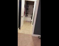 DUPLICATE: Black white cat chase ball bathtub 