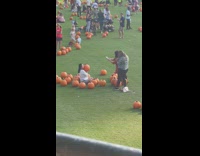 Woman white shirt hold large pumpkin grass