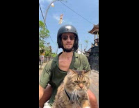 Cat paddle motion while on scooter motorcycle