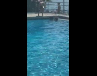 Girl swim in pool with work laptop