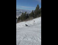 Guy on skis jumps slides down mountain  