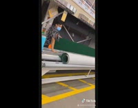 Guys buy big piece of grass room game