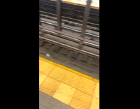 Rat on tracks almost crushed by subway
