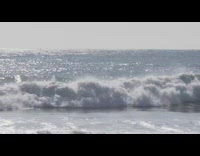 Collab Kook Of The Day - Surfer gets wiped out by big wave