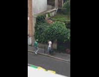 Collab IITW - Man white shirt sidewalk pictorial garbage truck Part 1