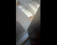 Two little kids ask to walk dog 